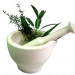 Herbs