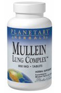 Mullein