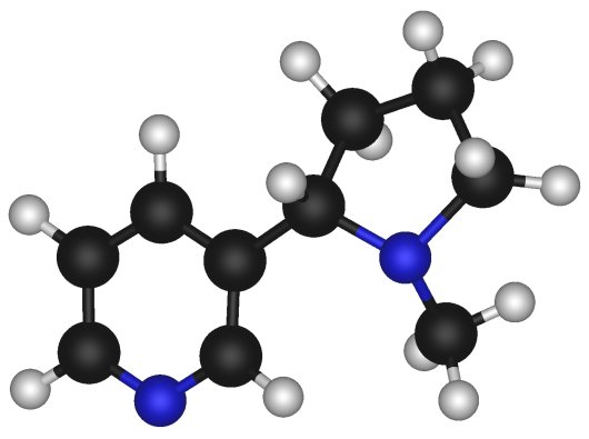Nicotine Vaccine